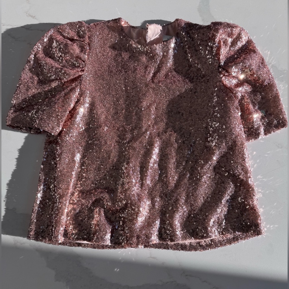 Alison Joy Sequin Blouse